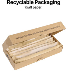 Sea Turtle individually sealed toothbrushes for hygienic travel