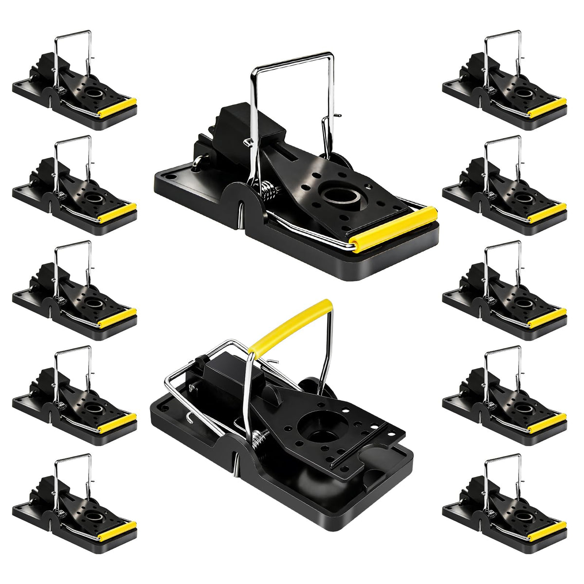 SEEPIS front view of 12-pack traps showing compact, ready-to-use units for fast control