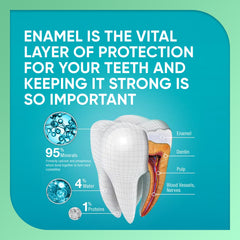 SENSODYNE PRONAMEL back label with ingredients and usage instructions benefit