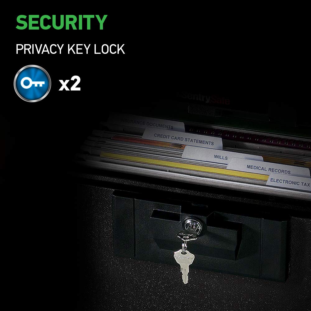 SentrySafe close-up of flat key lock and two keys for secure access