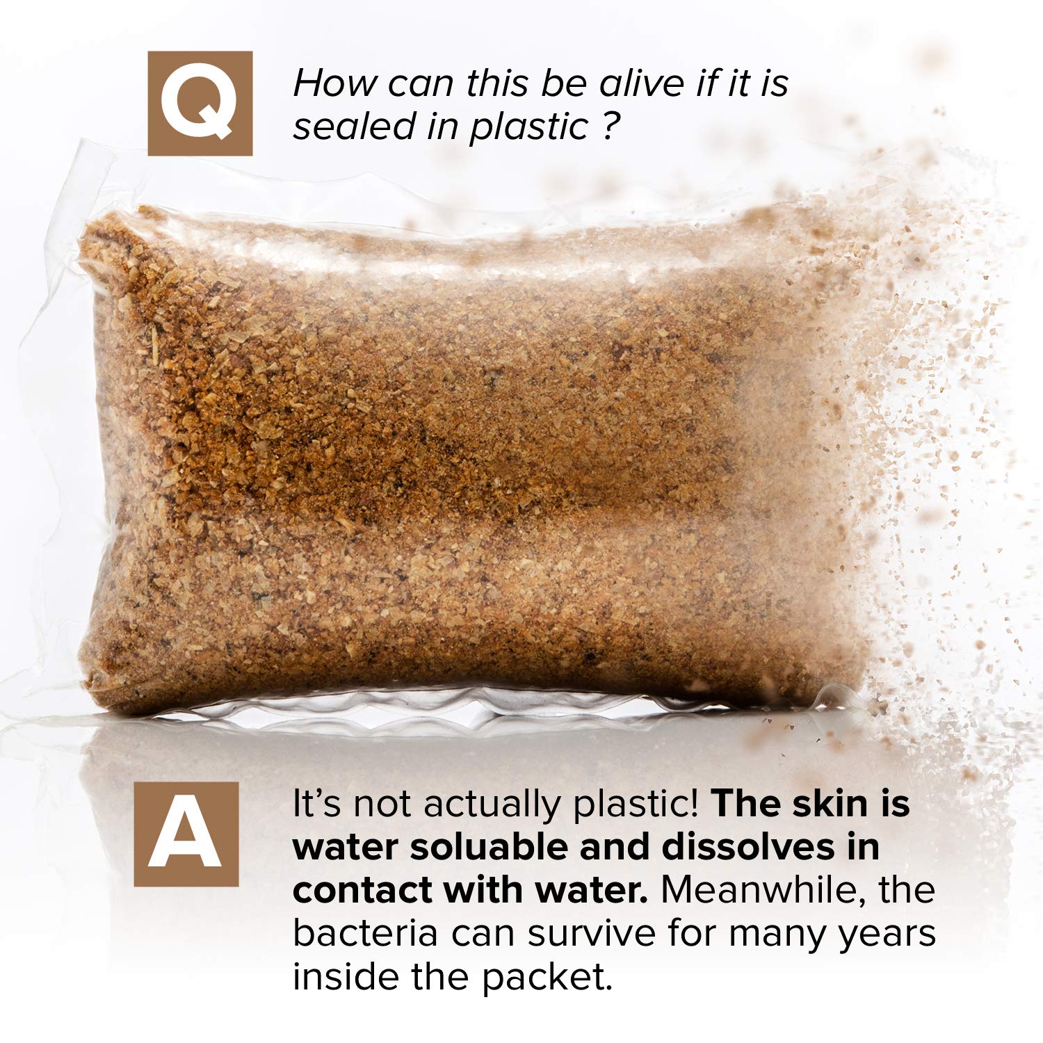 SEPTIC TREATMENT BY CABIN OBSESSION label detail showing active bacteria cultures and enzyme benefits