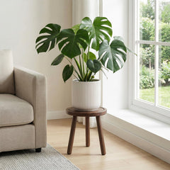 SEQUEDA side profile highlighting wide legs and sturdy base for wobble-free support