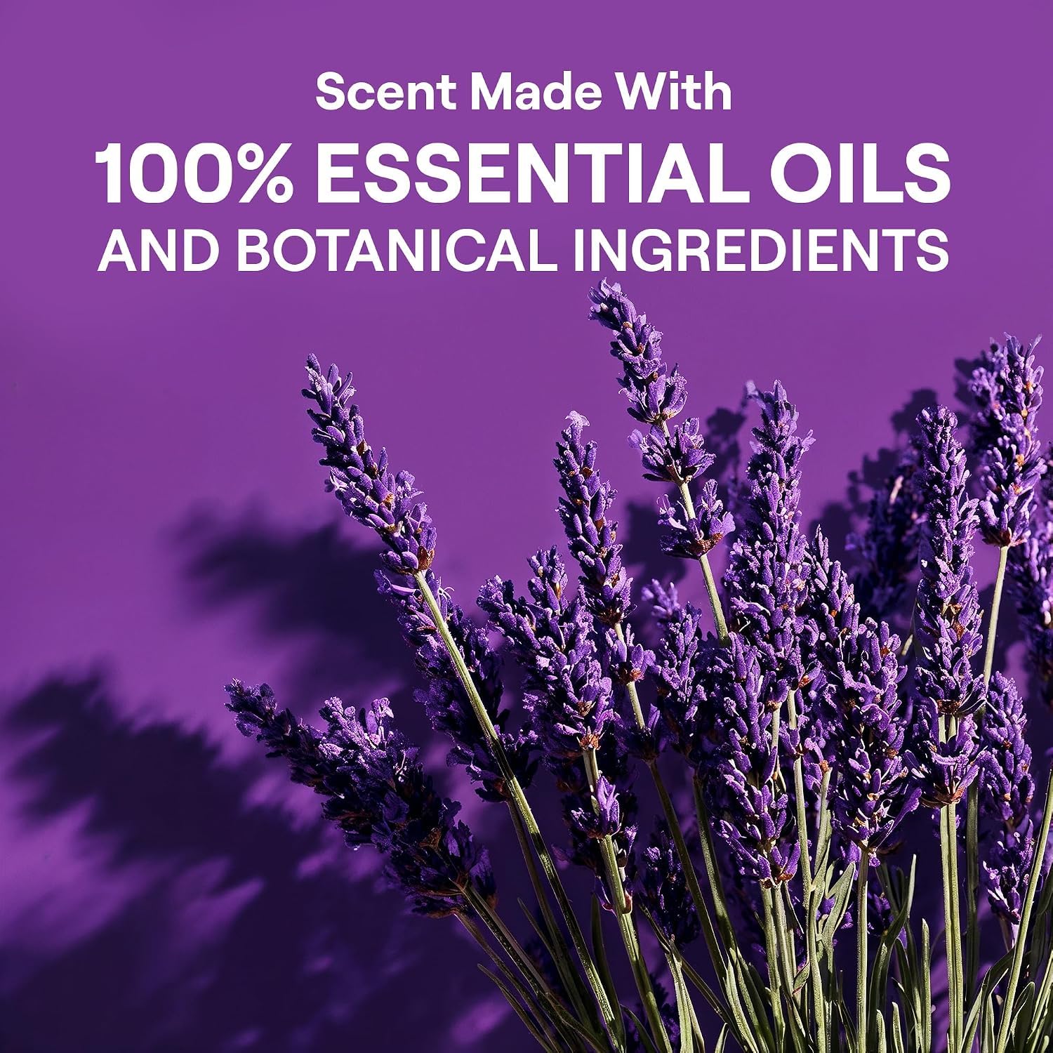Seventh Generation lavender botanicals next to bottle representing essential-oil scent benefit