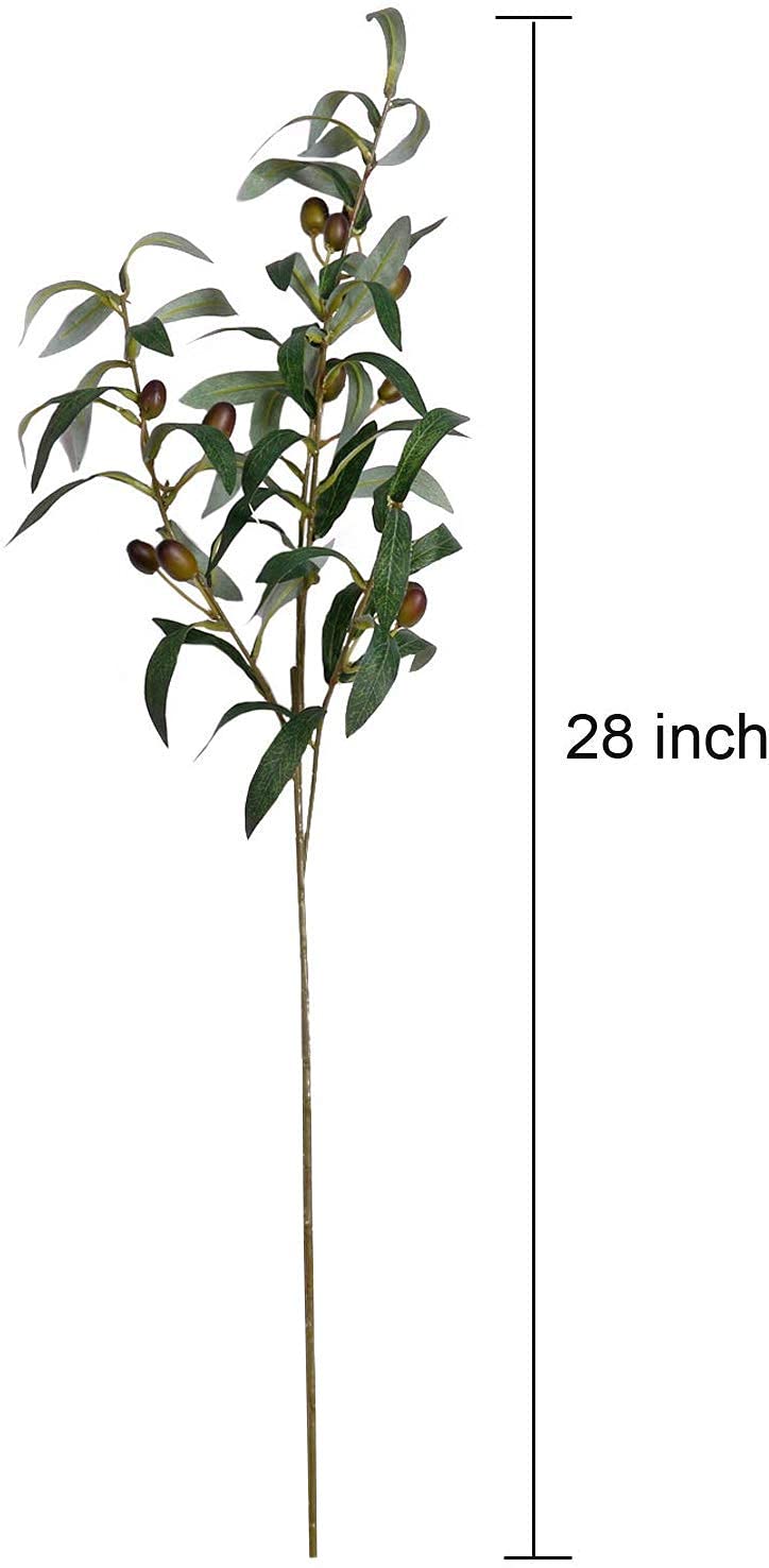SHACOS olive branches styled in tall glass vase adding vertical interest