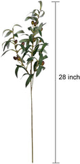 SHACOS olive branches styled in tall glass vase adding vertical interest