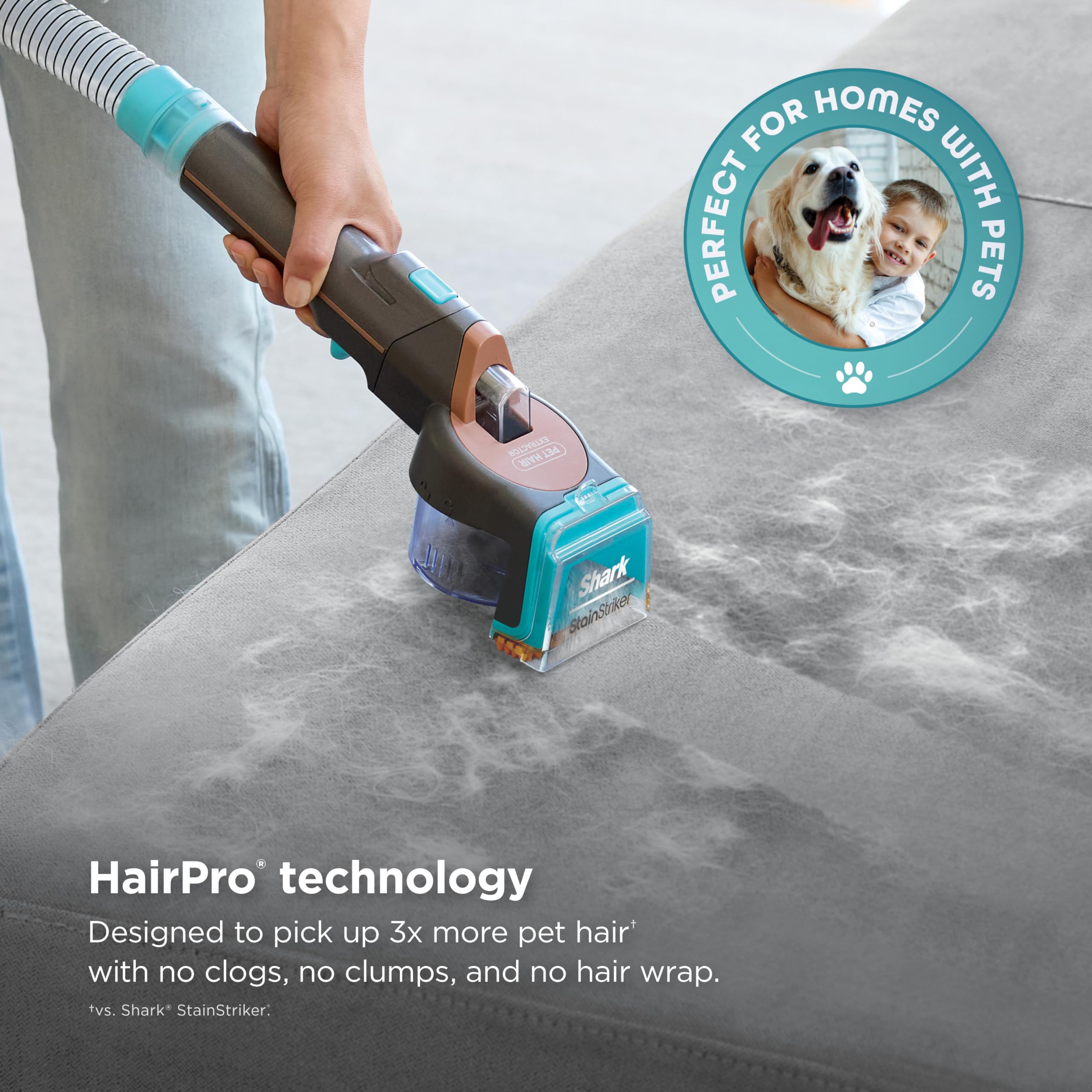 Shark StainStriker HairPro removable dirty water tank detached for simple emptying