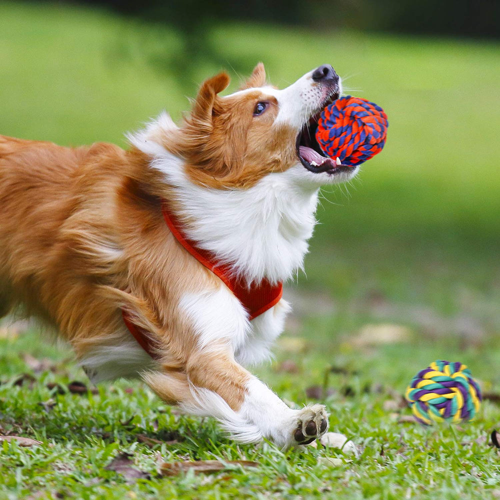 SHARLOVY rope toy thrown during fetch in park showing active outdoor use