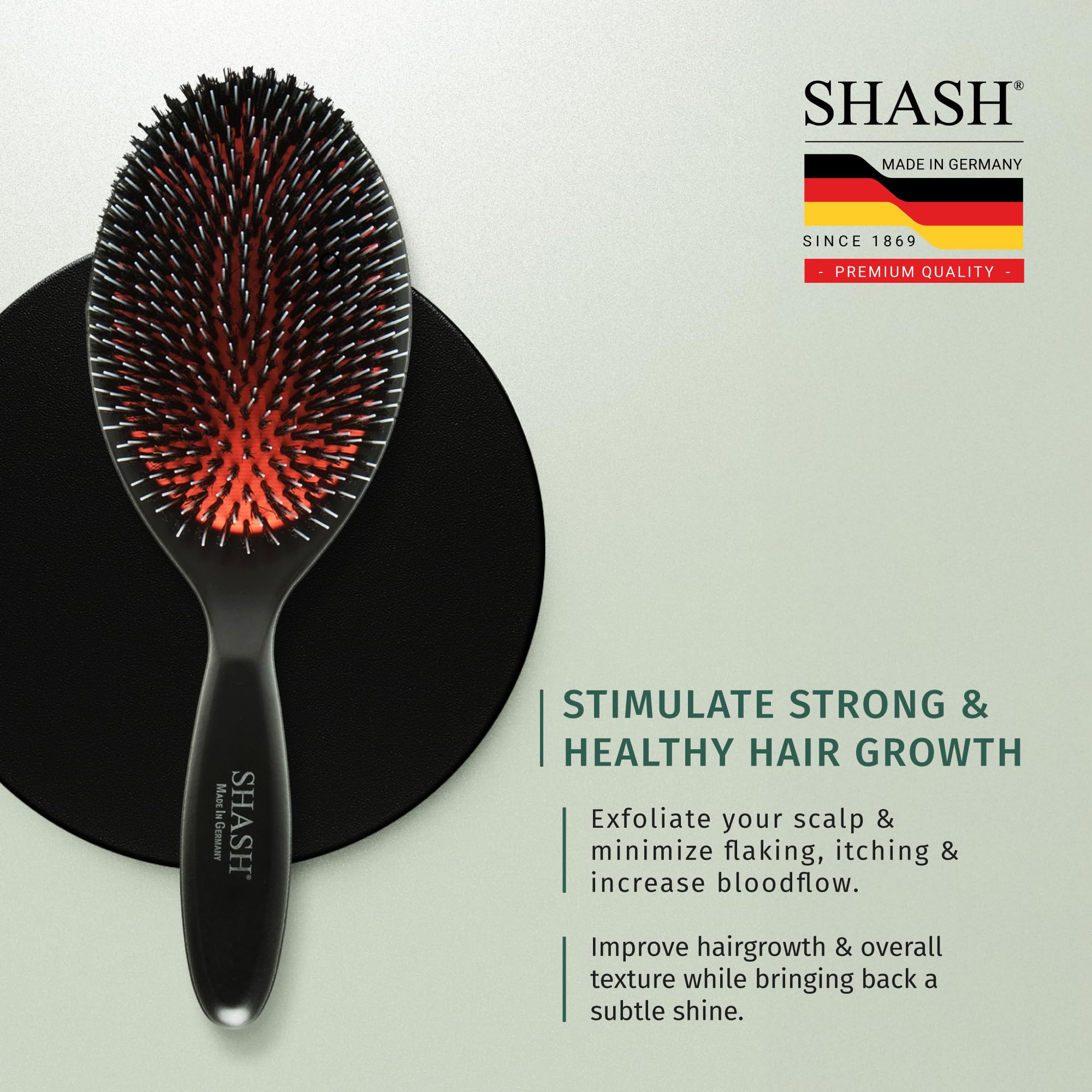 SHASH brush held in hand for scale, showing large size ideal for long hair