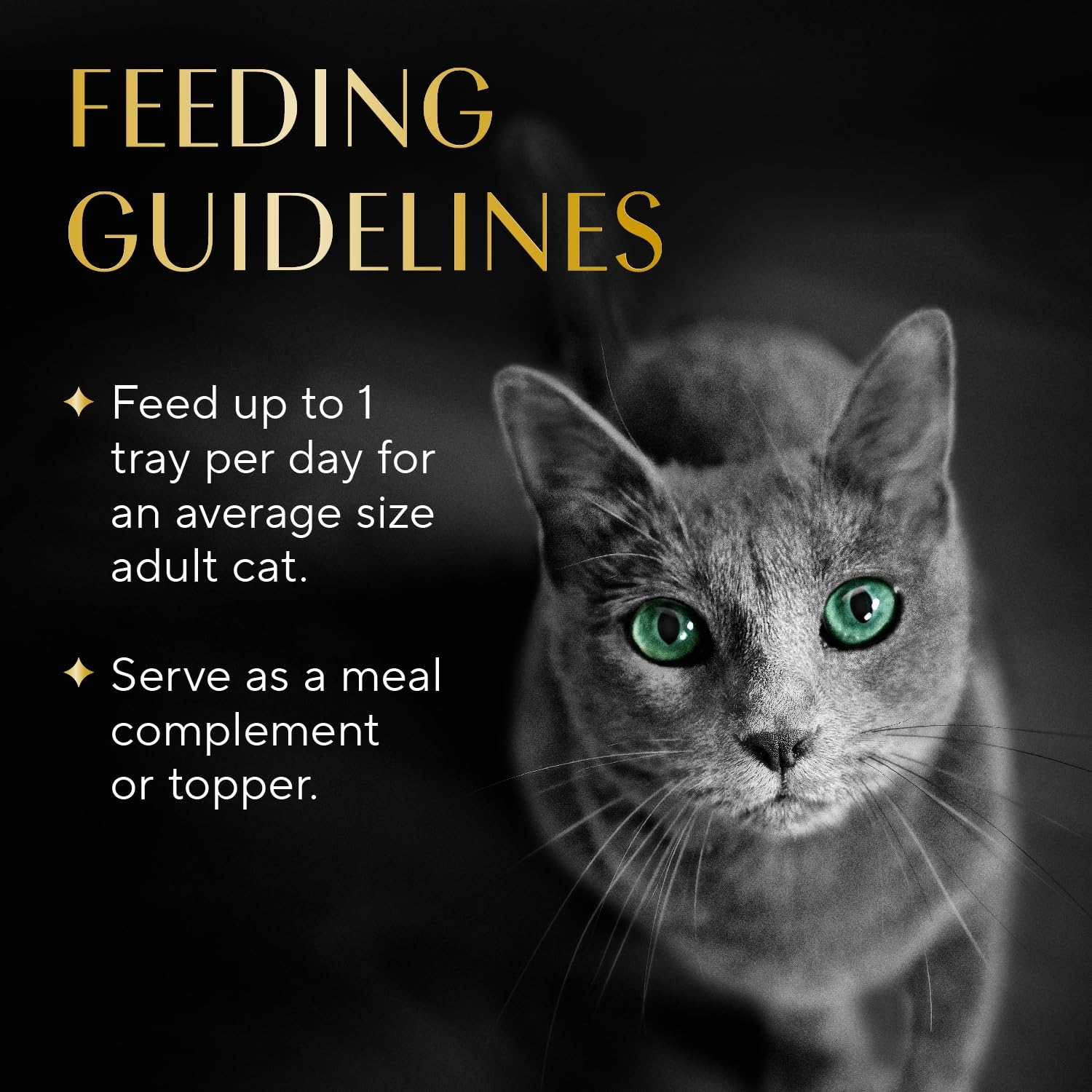 Sheba filets served over dry food, enhances aroma and palatability