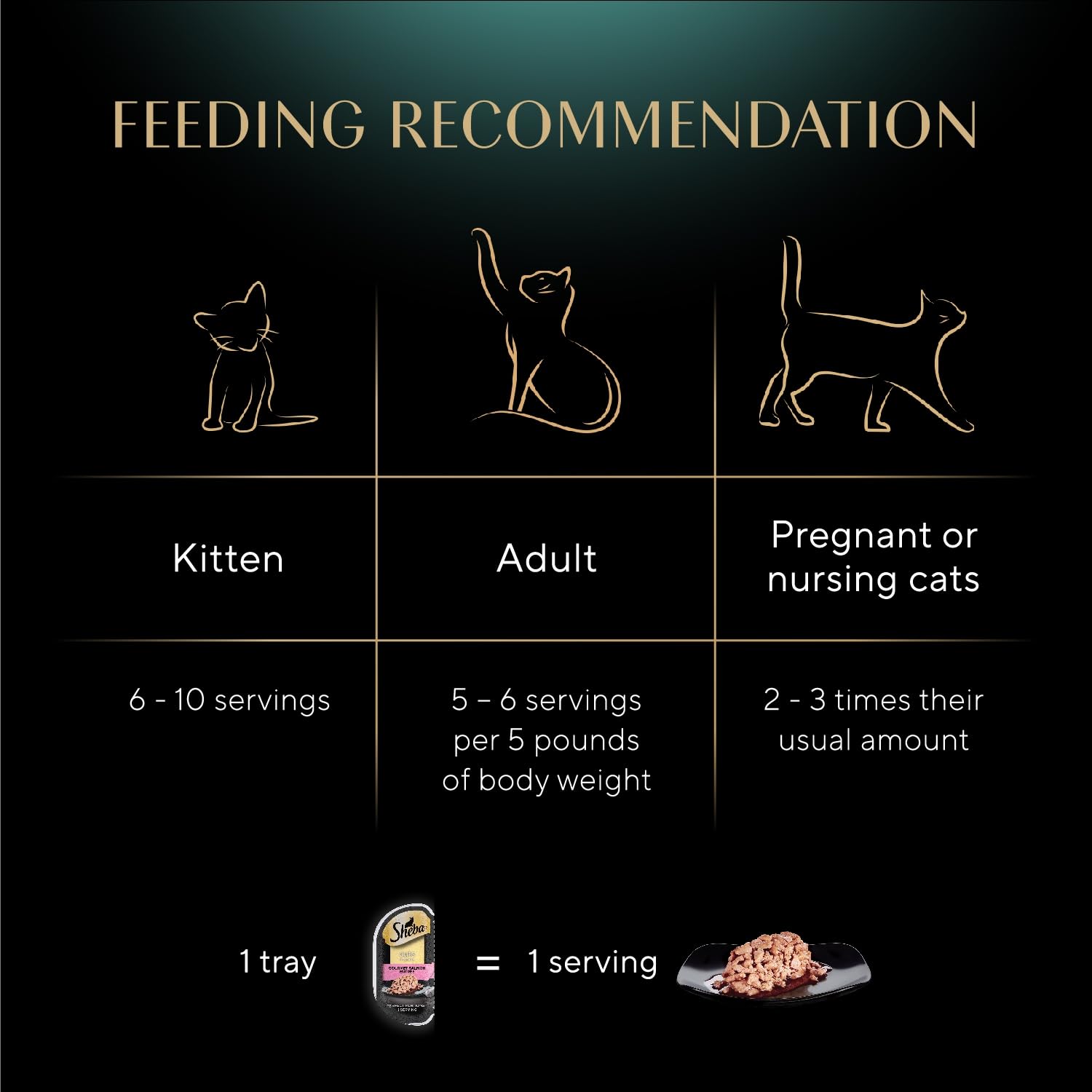 Sheba portion shown next to measuring spoon illustrating serving size control benefits
