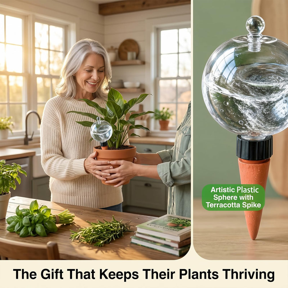 Shuomeng packaged six-pack gift-ready display ideal for plant lovers