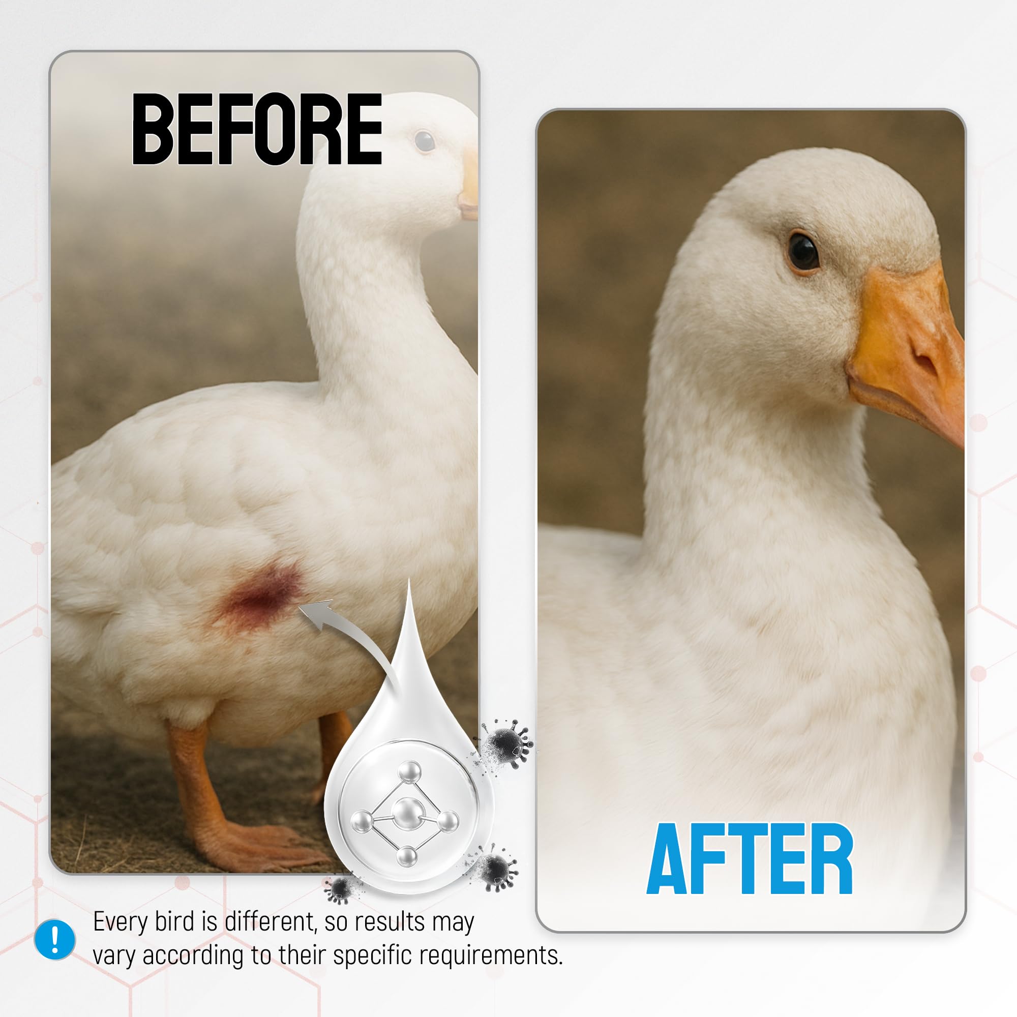 SILVER GRADE bottle beside feeders showing farm use and routine care benefit