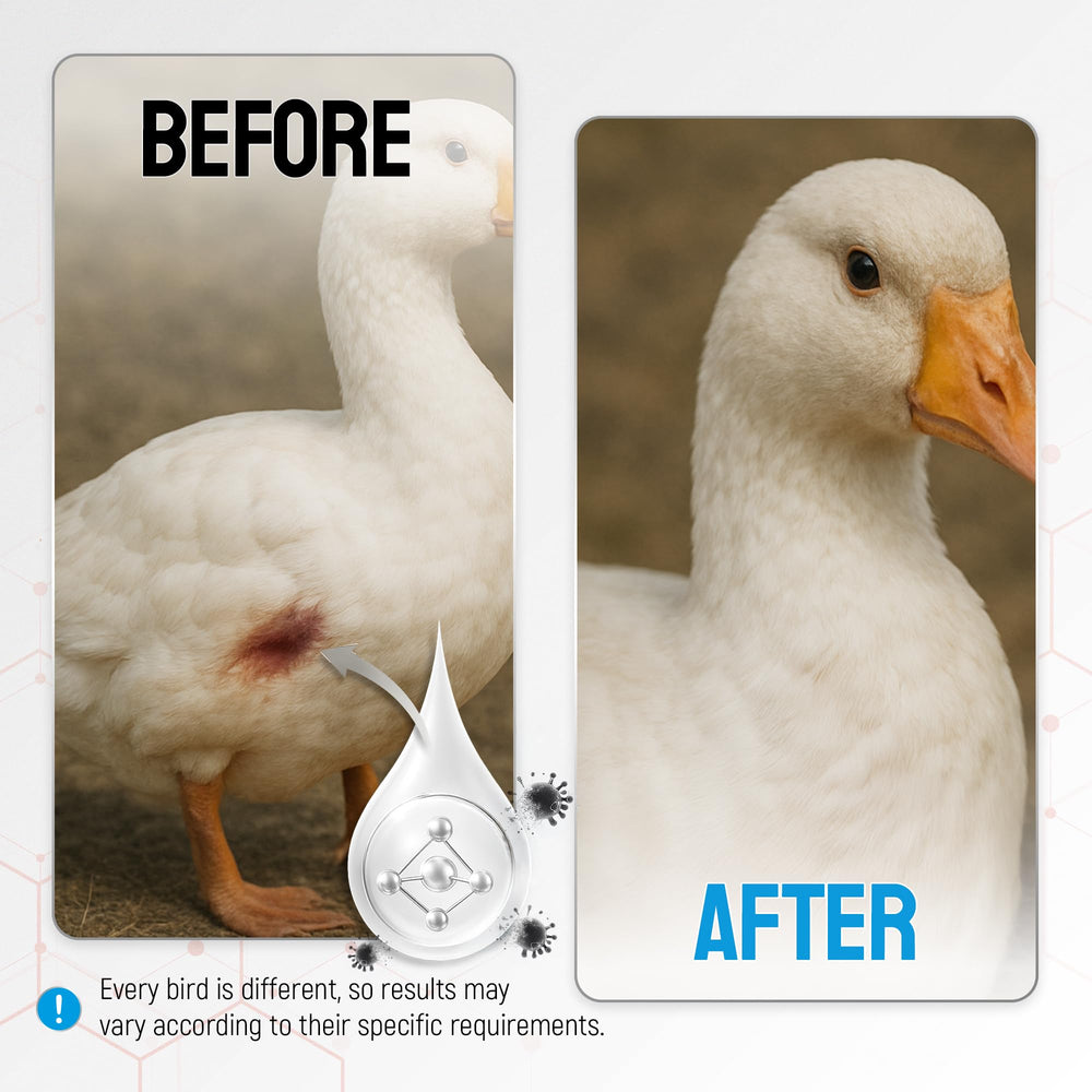 SILVER GRADE bottle beside feeders showing farm use and routine care benefit