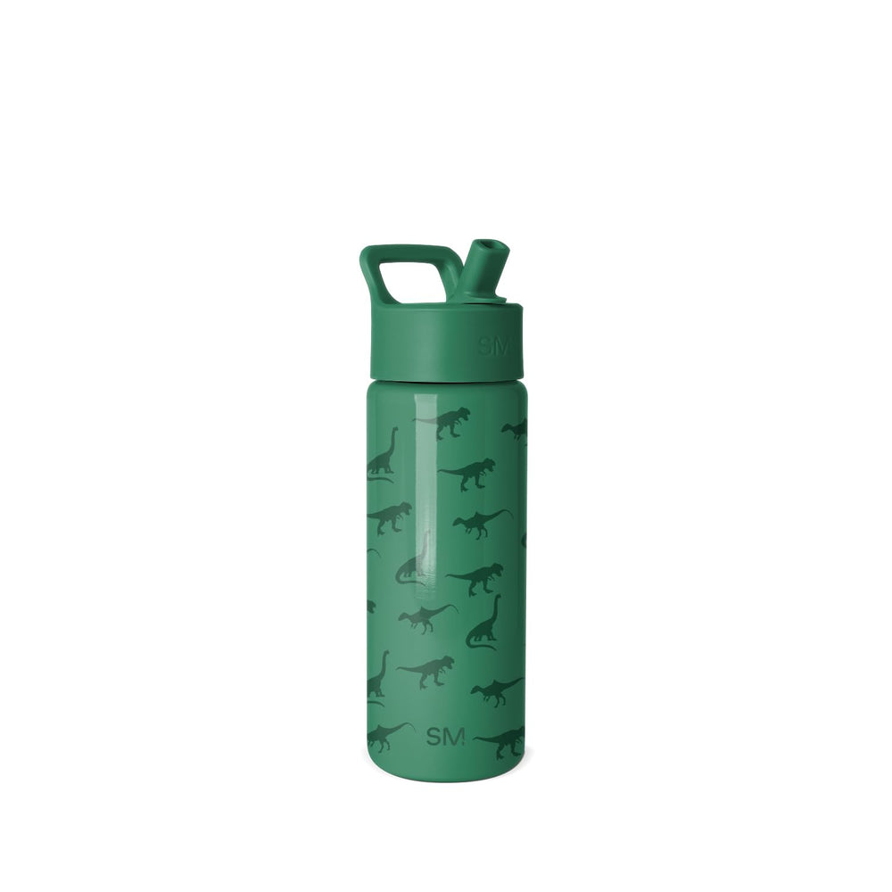 Simple Modern dinosaur bottle front view showing colorful kid-friendly design and portability