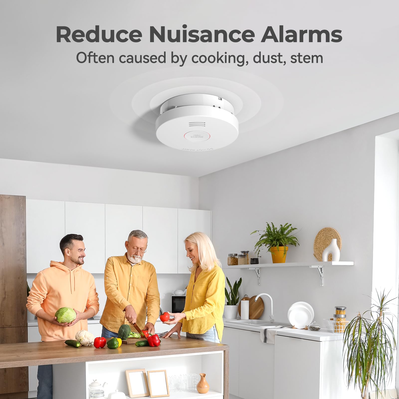 SITERWELL SITERLINK mounted on ceiling demonstrating unobtrusive home safety