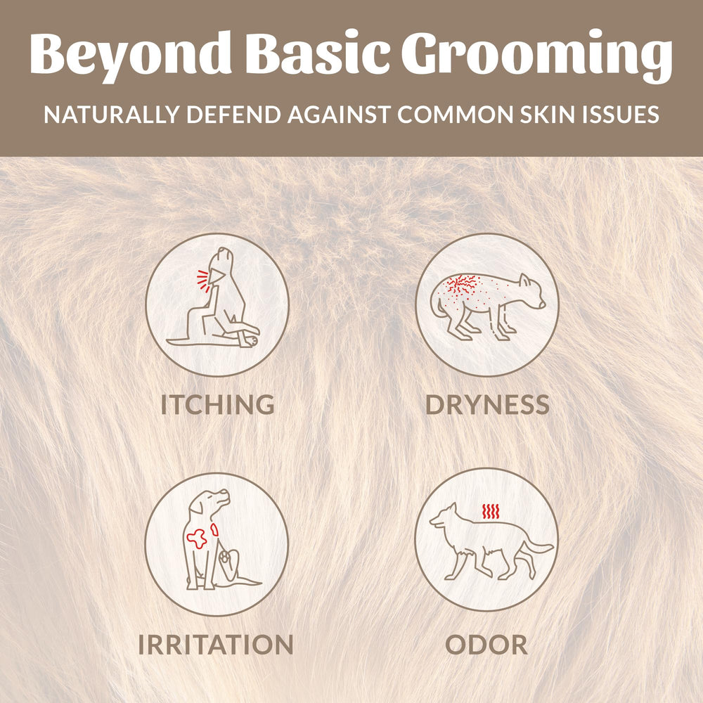 SKOUT'S HONOR creamy lather texture demonstrating gentle cleansing