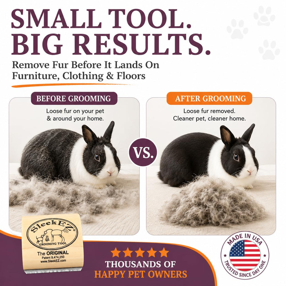 SleekEZ grooming a short-coated cat for smoother, cleaner coat
