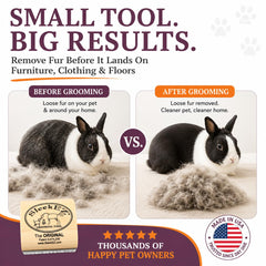 SleekEZ grooming a short-coated cat for smoother, cleaner coat