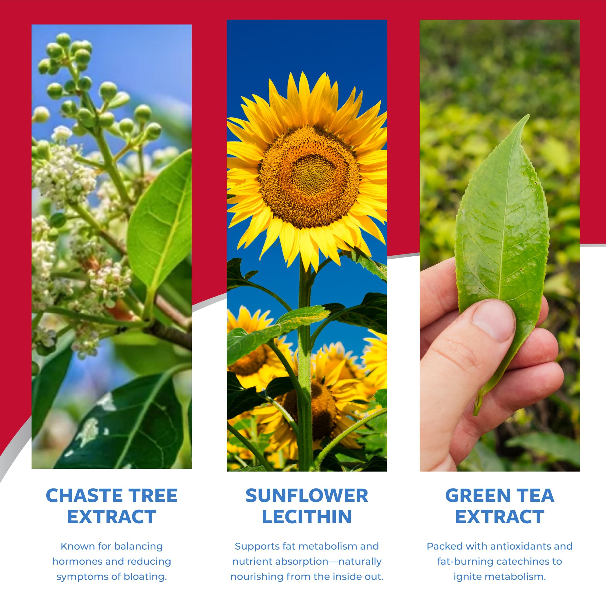 SlimQuick box beside hand for size comparison showing portability and servings