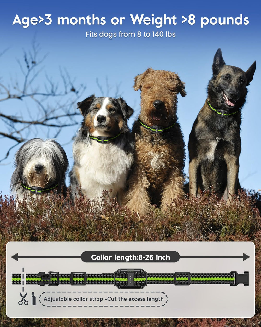 SLOPEHILL scale comparison showing collar fit on small and large breeds