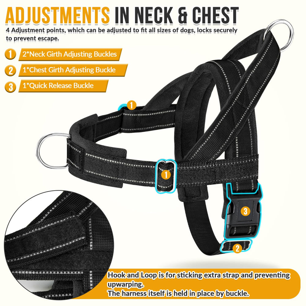 SlowTon bungee leash with two padded handles absorbing shock benefits