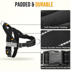 SlowTon chest D-ring and triangular sides for guided, no-pull training
