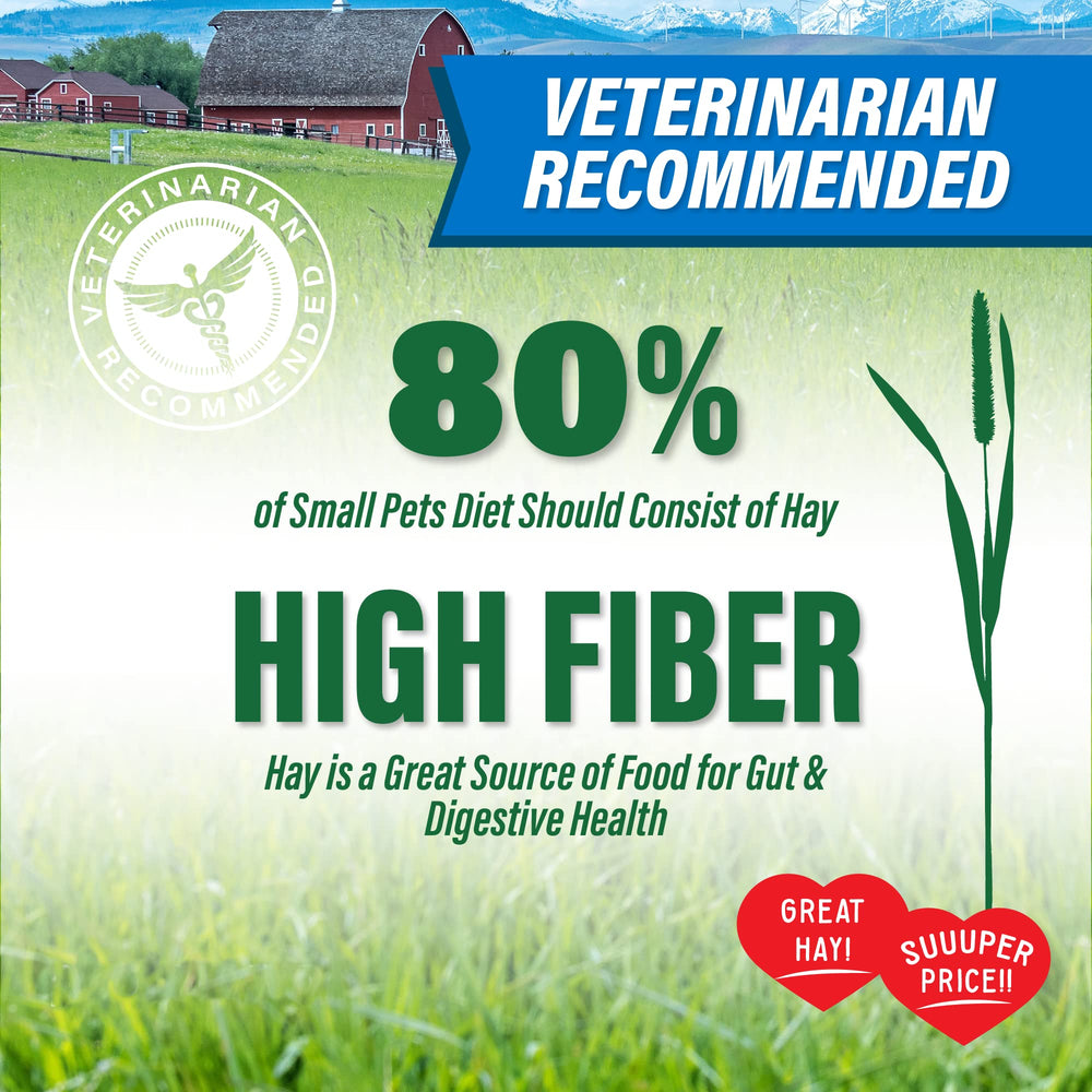 Small Pet Select timothy hay close-up of long stems highlighting fresh texture benefit