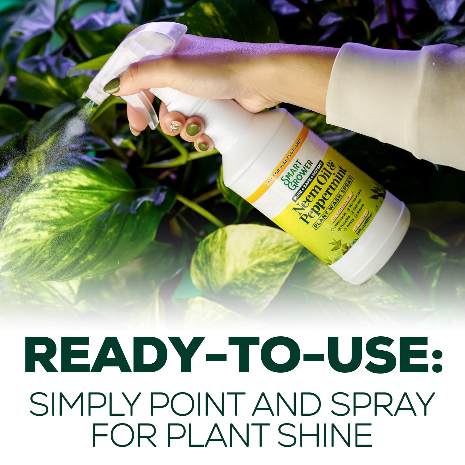 Smart Grower close-up of shiny leaf after application showing improved sheen