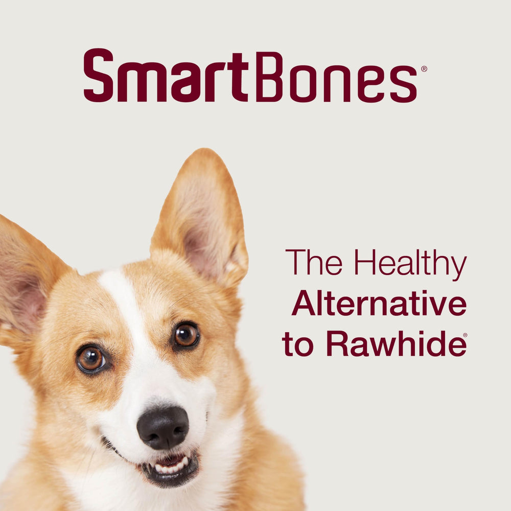 SmartBones storage and serving setup with water and chew guidance
