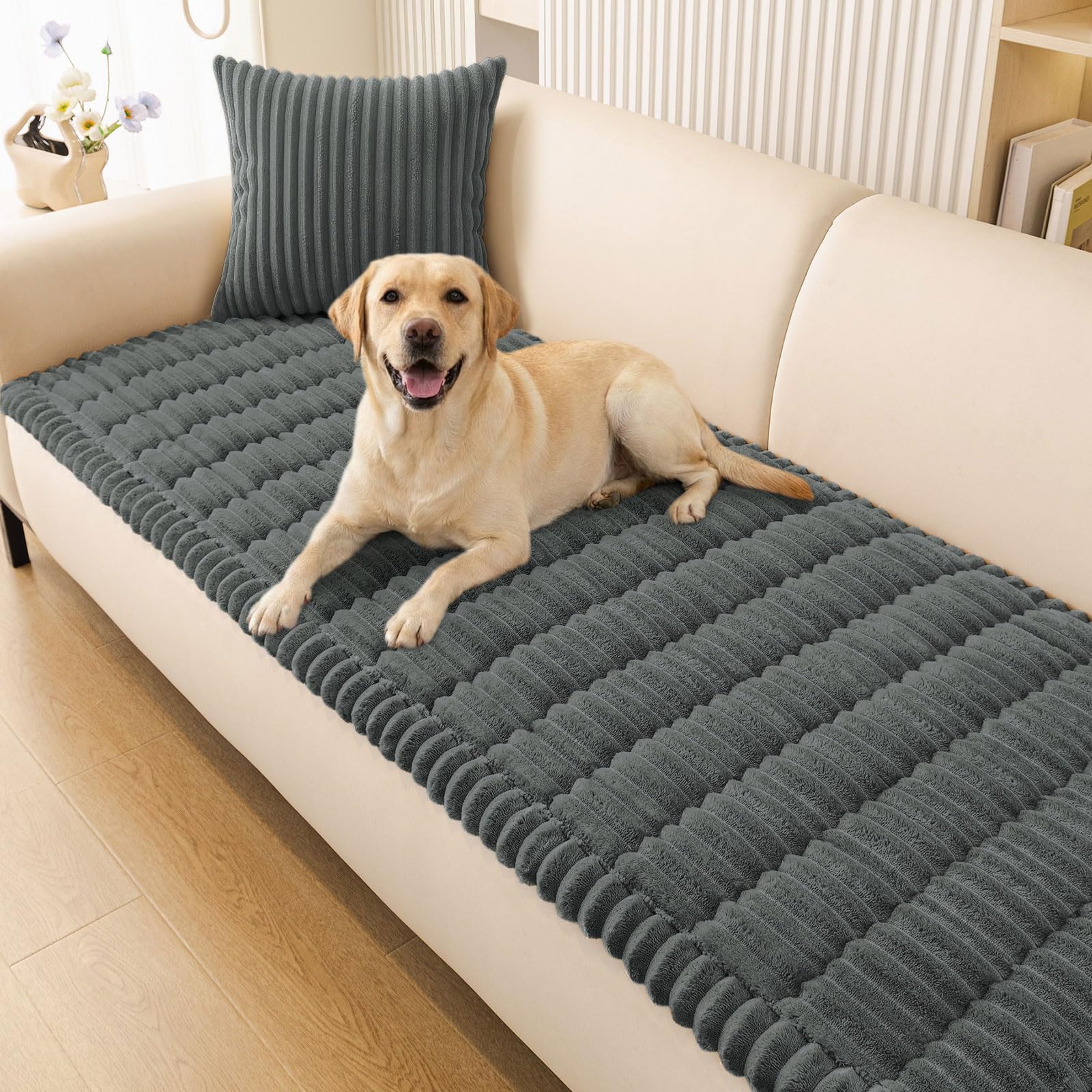 Smiry front view on sofa showing full protection and clean look