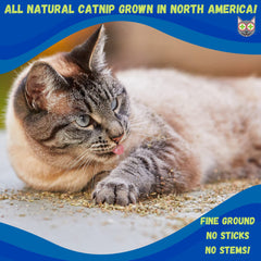 Smokey's Stash close-up of fine ground catnip texture illustrating soft leaf quality