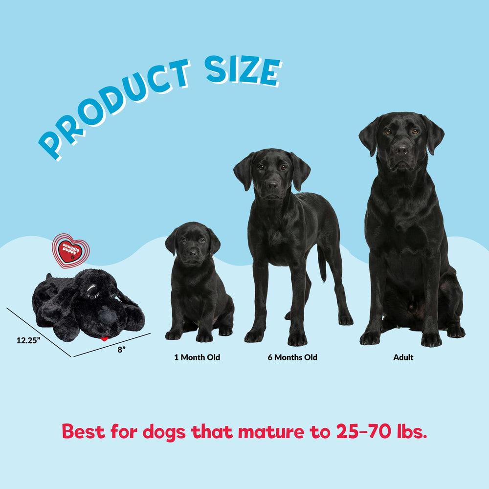 Snuggle Puppy next to measuring tape showing 12 by 8 inch size for medium dogs