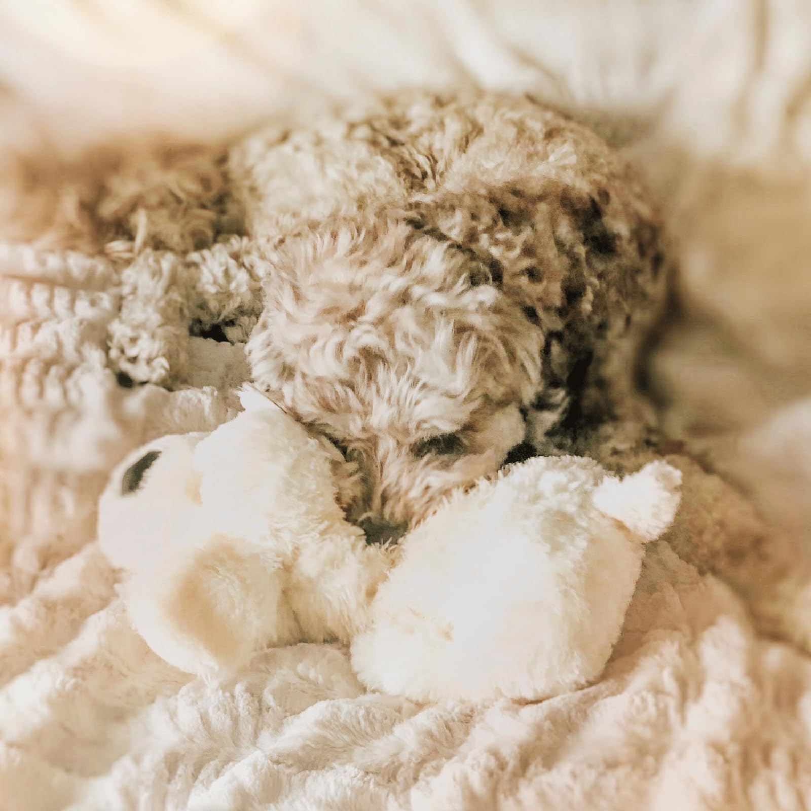 Snuggle Puppie plush exterior fabric detail showing machine-washable convenience