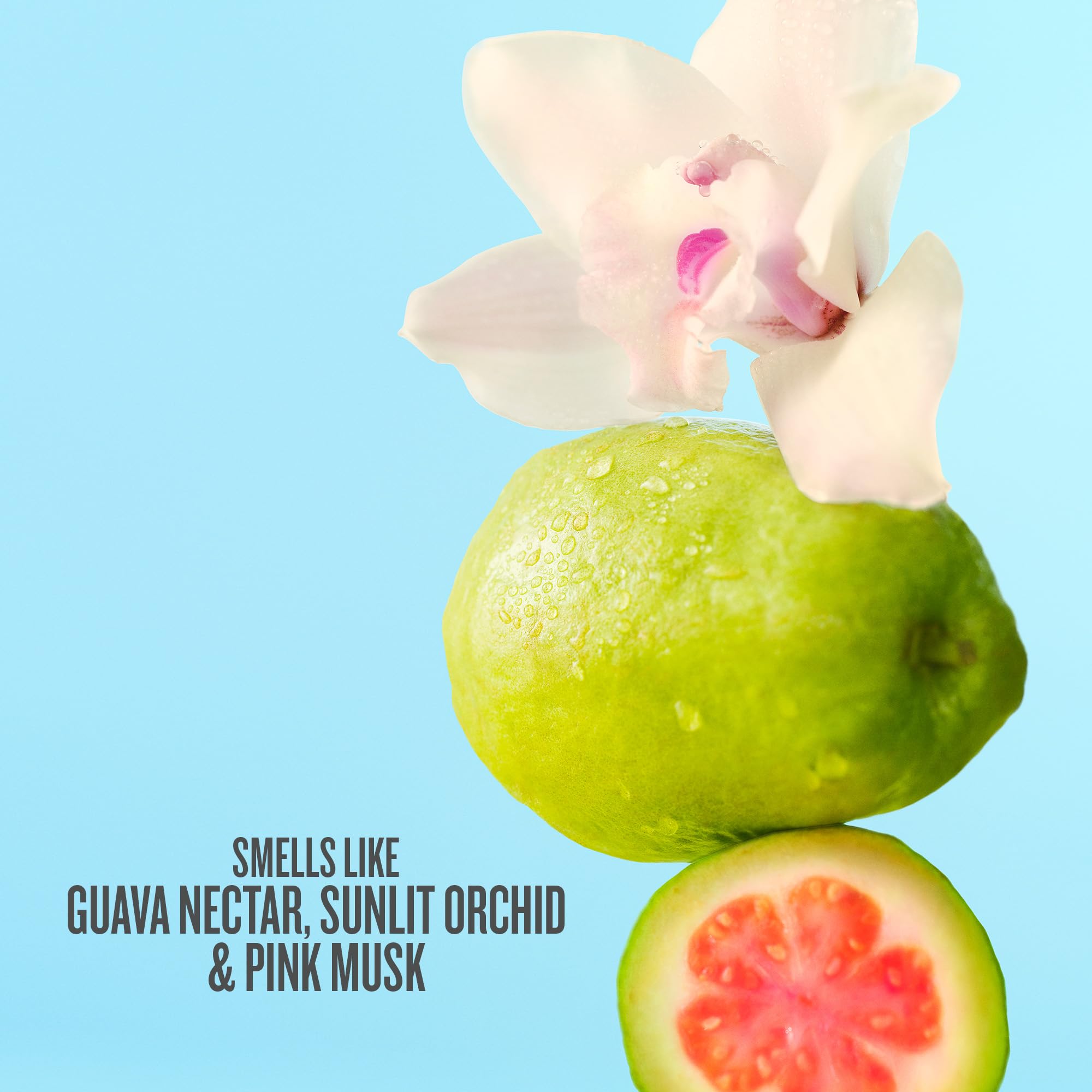Sol de Janeiro close-up of product label highlighting scent name and notes