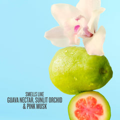 Sol de Janeiro close-up of product label highlighting scent name and notes