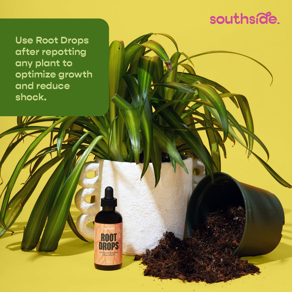 Southside Plants bottle next to ruler showing compact 4 oz size
