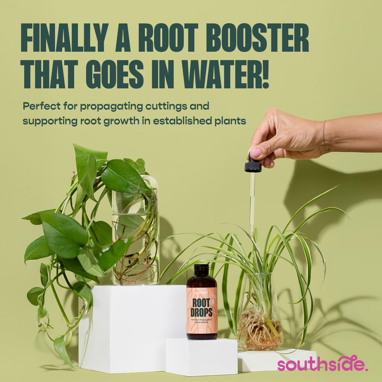 Southside Plants dropper close-up dispensing accurate rooting drops