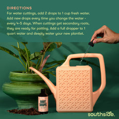 Southside Plants applied to leca substrate promoting even root growth