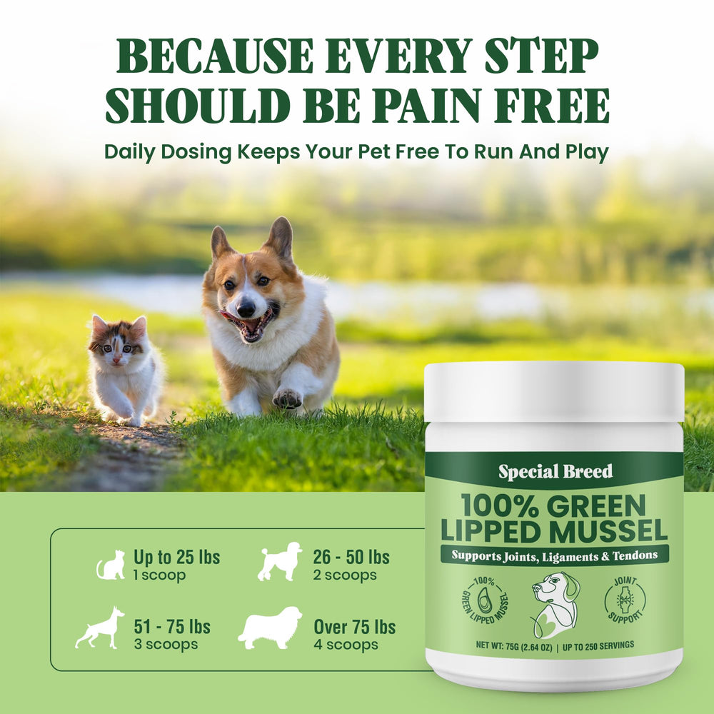 Special Breed lifestyle dog and cat mealtime showing simple daily use
