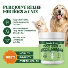Special Breed powder close-up texture highlighting fine grind for easy mixing