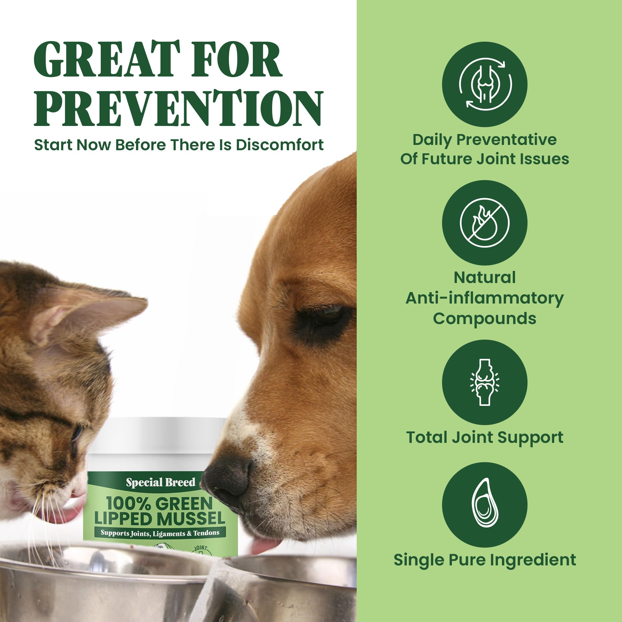 Special Breed spoon portion size demonstrating quick daily scoop for servings