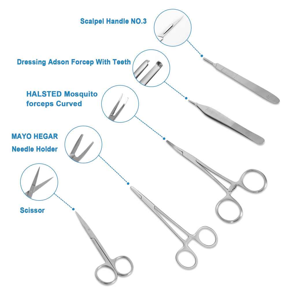 Spectabilis curved needle holder and scissors arranged to train realistic instrument handling