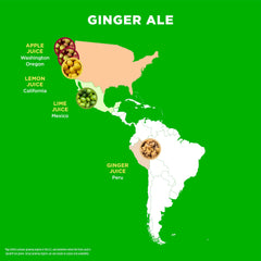 Pouring Spindrift ginger ale reveals real-squeezed juice texture and freshness