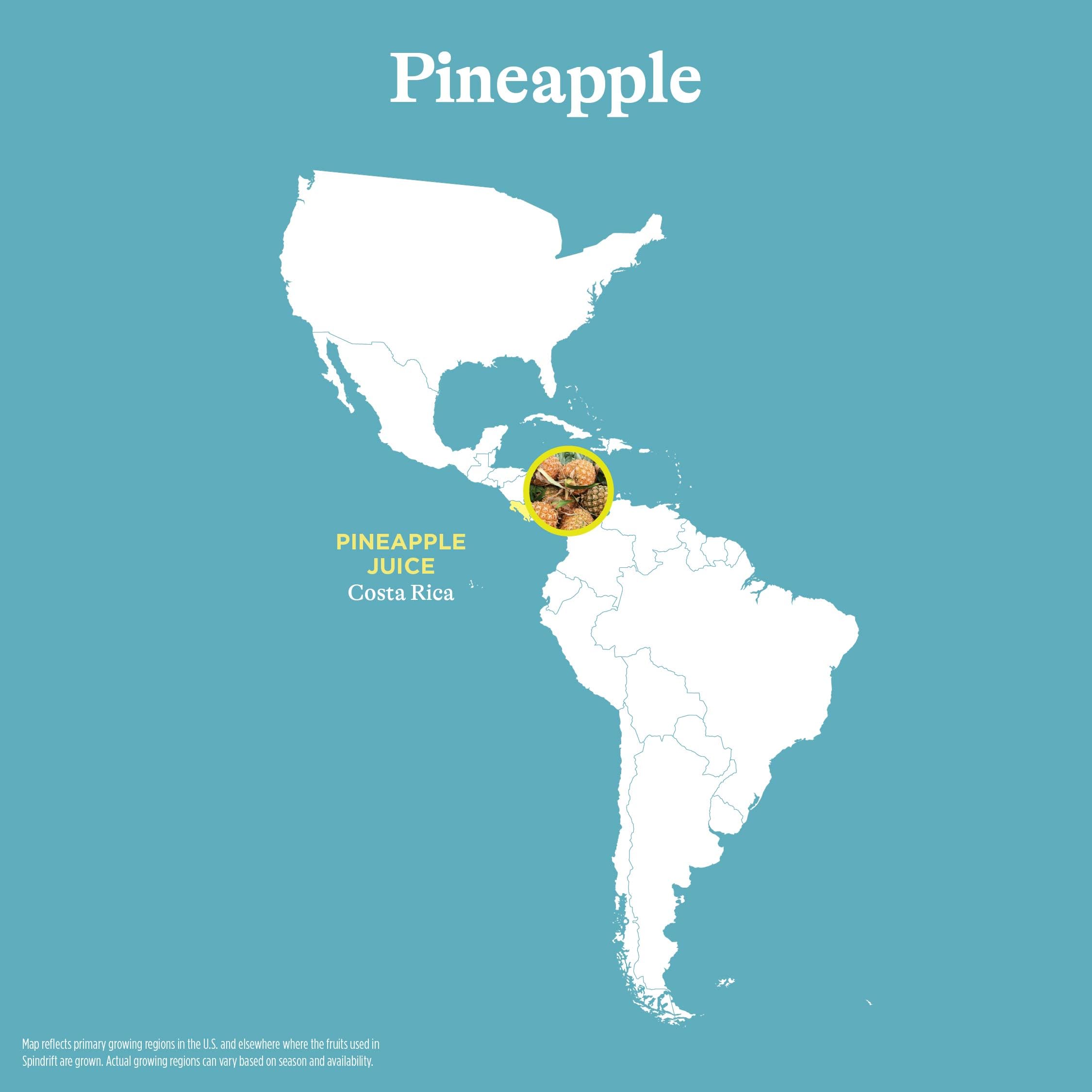 Close-up carbonation on Spindrift pineapple can highlighting refreshing fizz