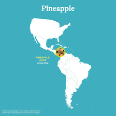 Close-up carbonation on Spindrift pineapple can highlighting refreshing fizz