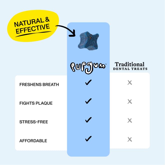 Spot & Tango dog chewing treat showing happy pet and fresh breath