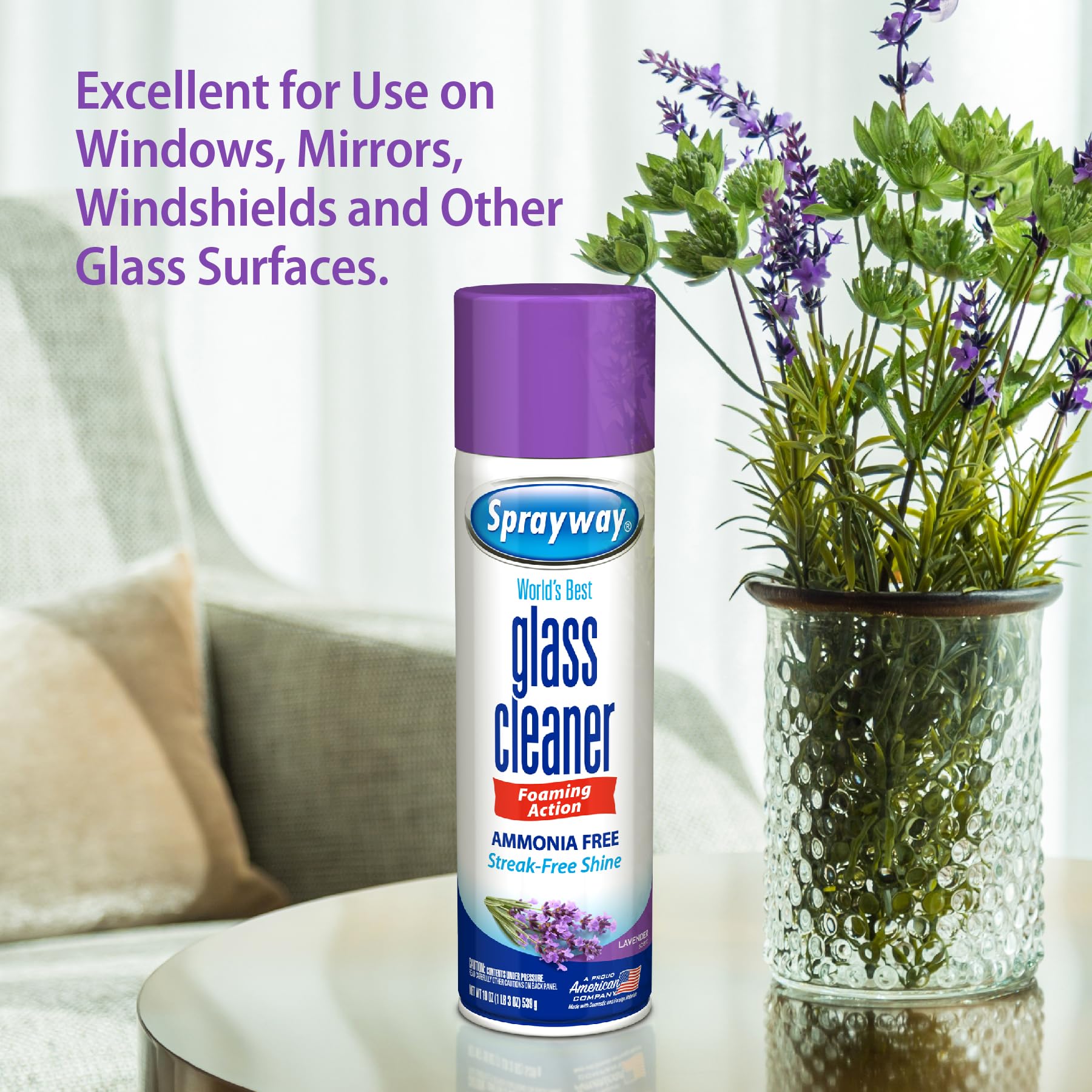 Sprayway 19oz can in hand showing compact size and easy handling benefit