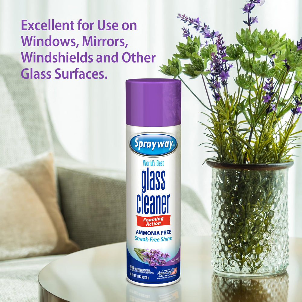 Sprayway 19oz can in hand showing compact size and easy handling benefit
