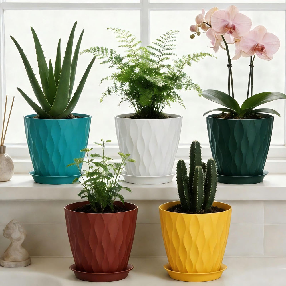 SQKH gift-ready packaging with multiple colors, great present for gardeners