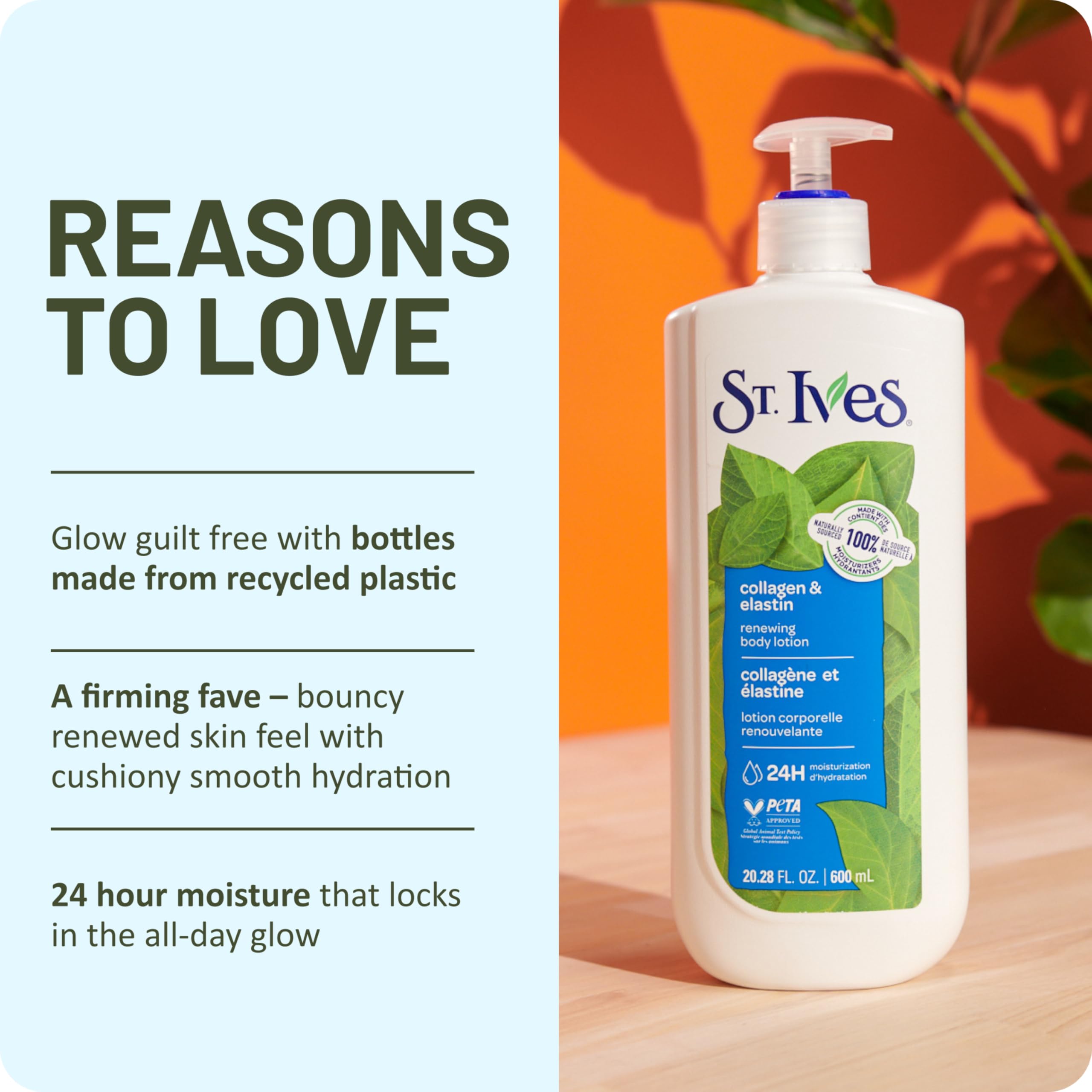 St. Ives boxed four-pack ready for storage and bulk convenience